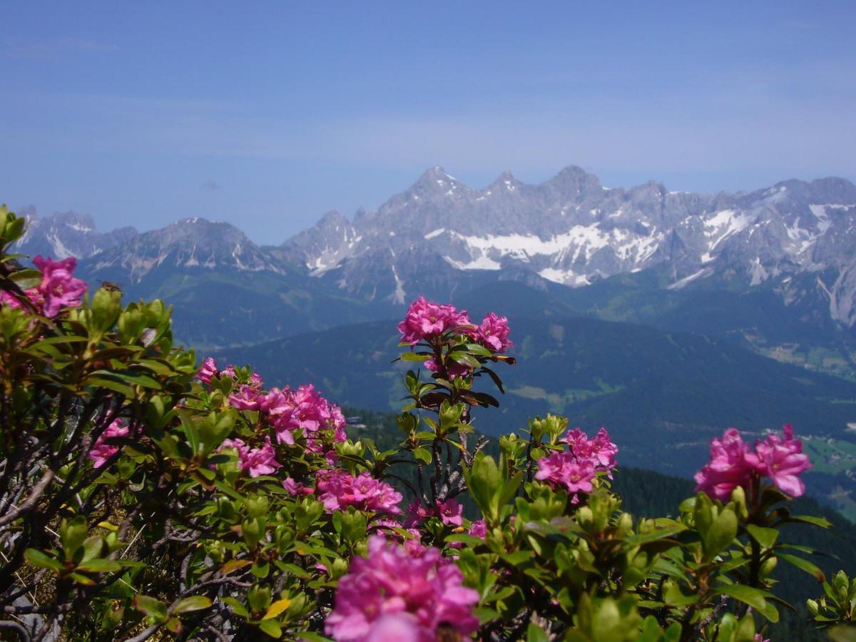 Appartements Wiesbach Ramsau am Dachstein Esterno foto